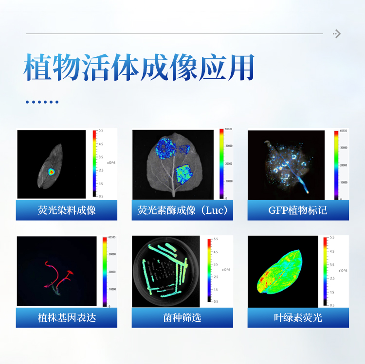 植物多光谱荧光成像系统