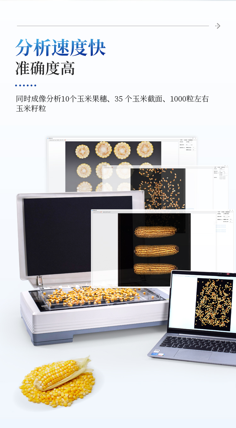 玉米考种分析系统