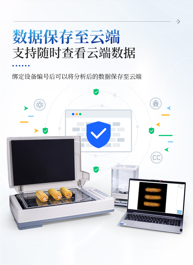 玉米考种分析系统