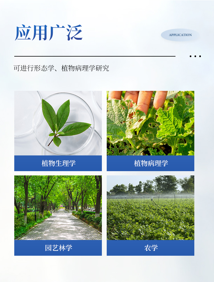 叶片图像分析仪