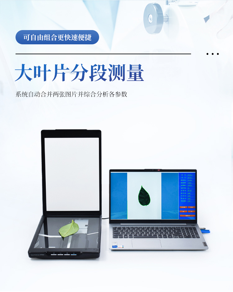 叶片图像分析仪