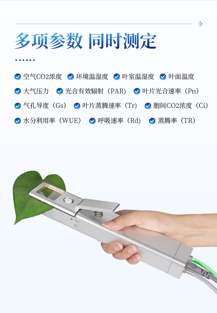 光合作用测定仪