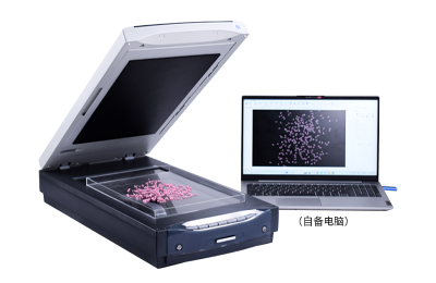 大米加工精度检测仪提升品质一致性与生产效率