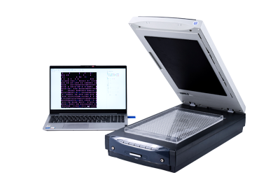大米外观品质分析仪现代化粮食检测的核心设备