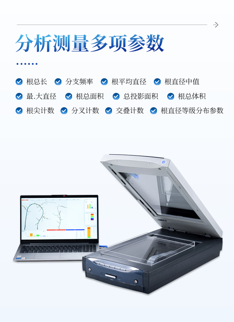 根系分析仪