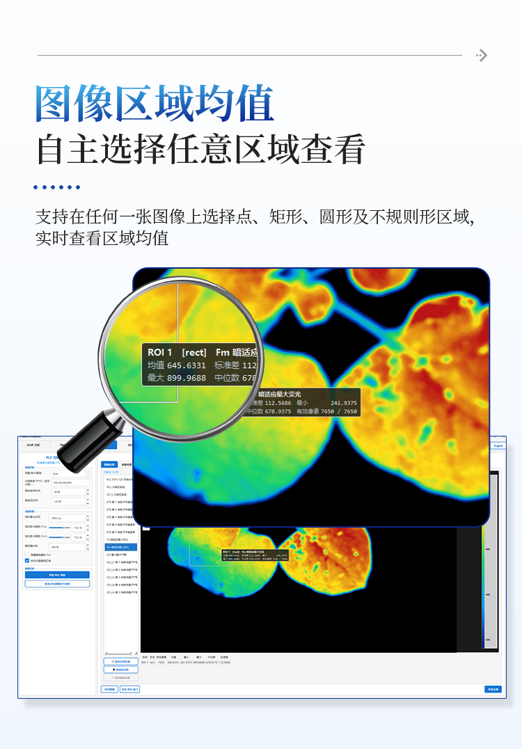 叶绿素荧光成像系统