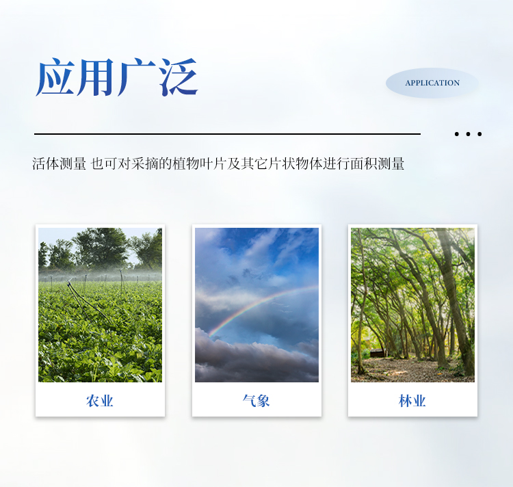 手持式叶面积仪 手持式叶面积仪